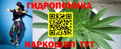 винт Кингисепп